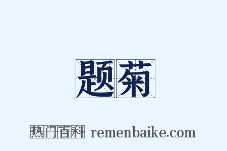 题菊是什么意思的图片